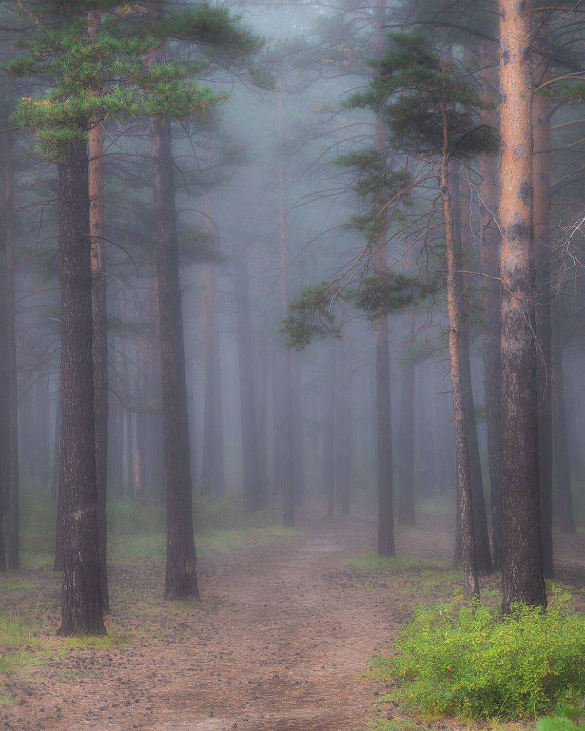 ***. Автор: Сергей Брагин , Сергей Брагин