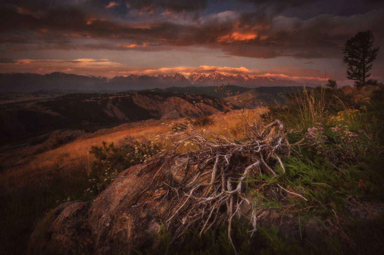 Рассвет с видом на Актуру. Автор: Шевченко Николай озеро, горы, лес, природа, закат, рассвет, красота, приключения, путешествие, Шевченко Николай