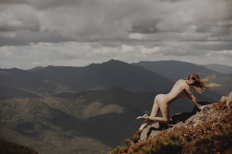 wind of the mountainsphoto preview