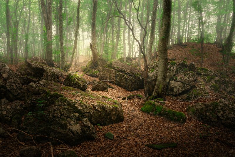 Путь между камнейphoto preview