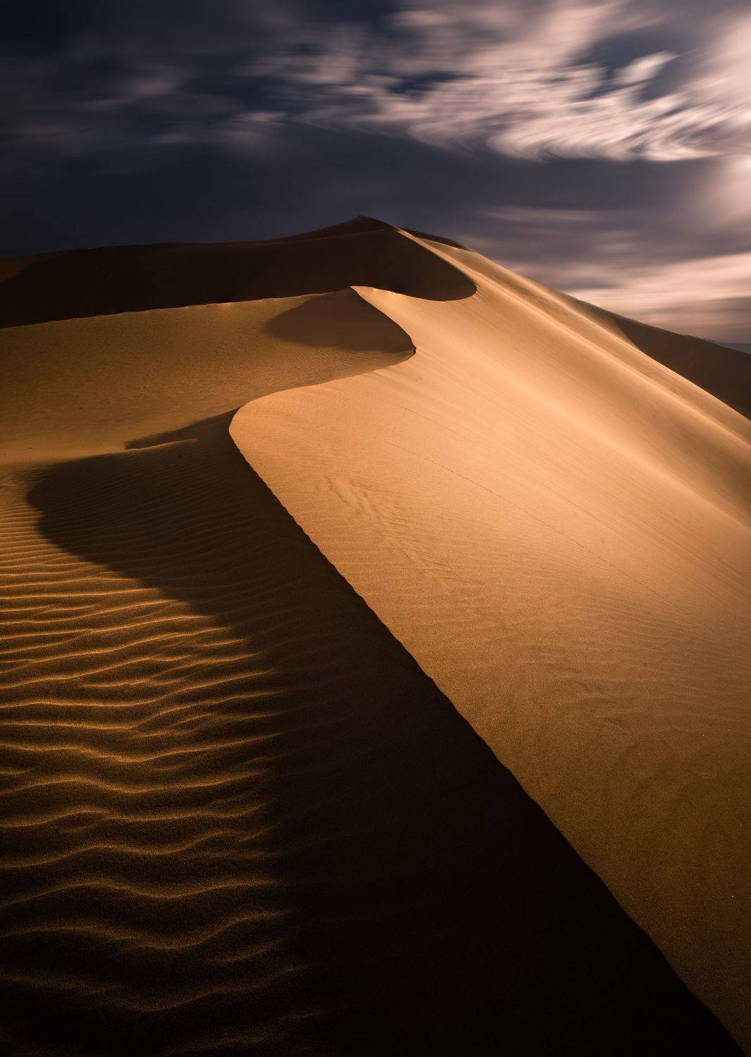 Автор: 夏功仁 , 夏功仁