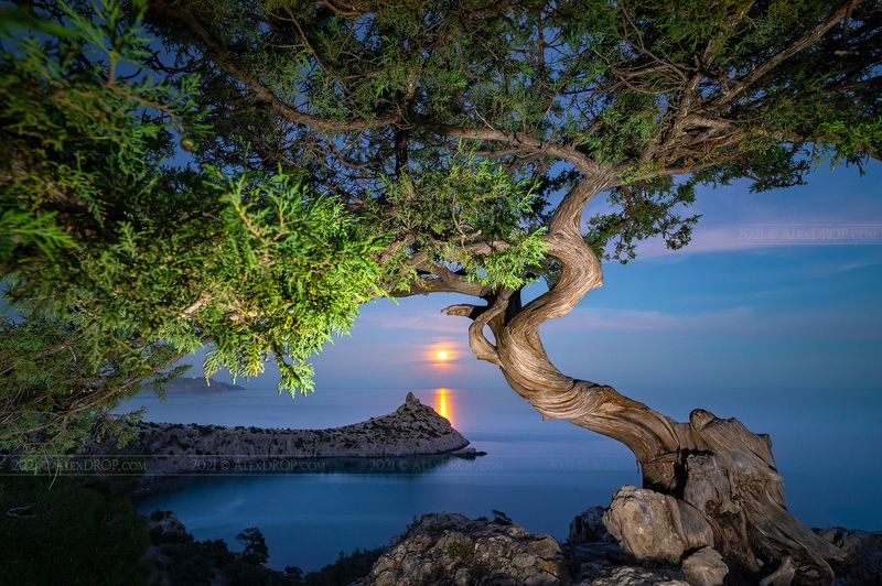 Восход Луны над мысом Капчик / Moonrise over the Cape Kapchikphoto preview