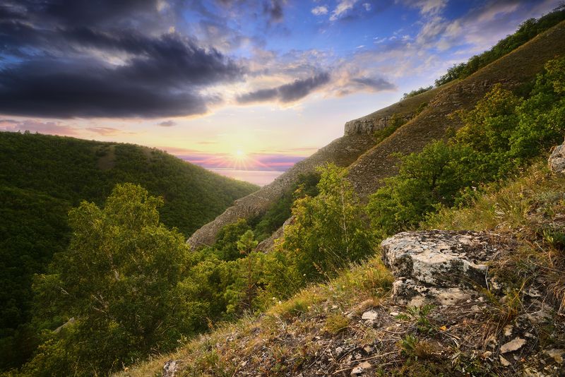 Знойным летом в Жигулях.photo preview