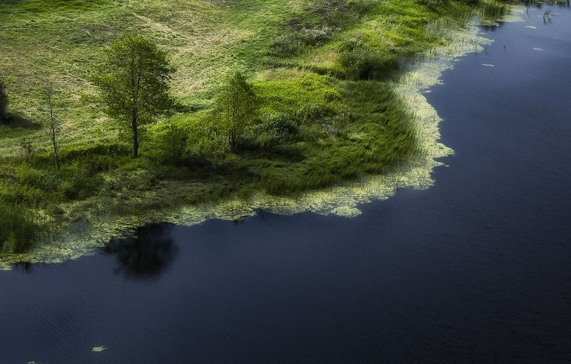 лето,минимализм,брянскаяобласть,день А на том берегу..photo preview