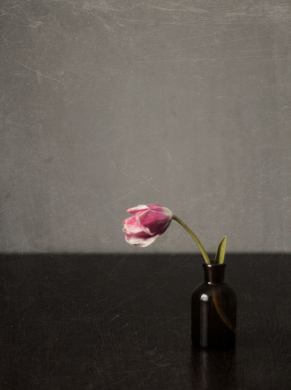 натюрморт,stillife --- фото превью