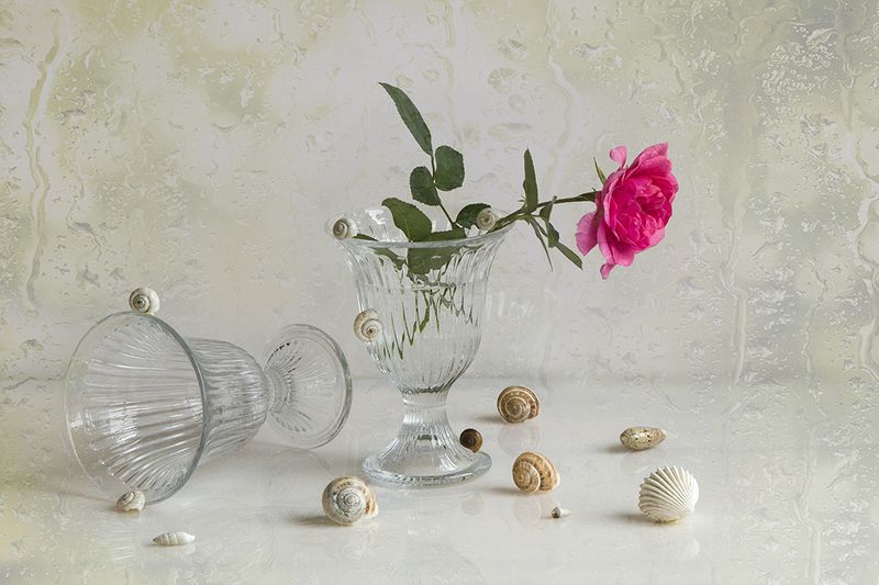 Дождливое летоphoto preview