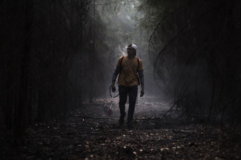 Волонтерphoto preview