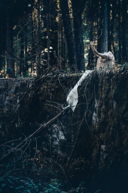 артню Русалкаphoto preview