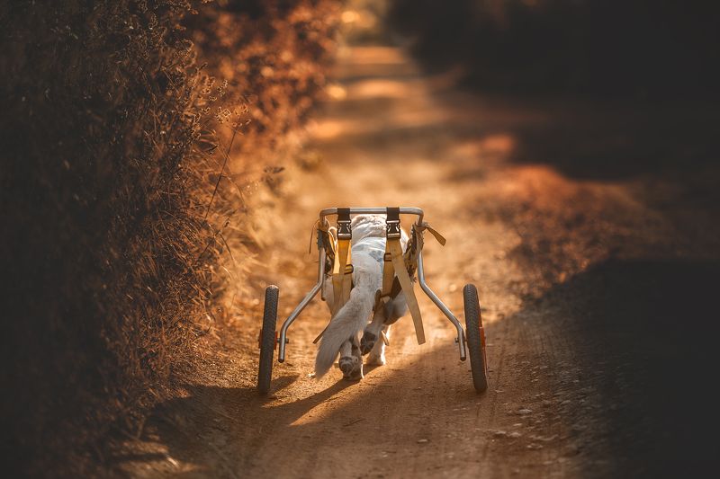 Путьphoto preview