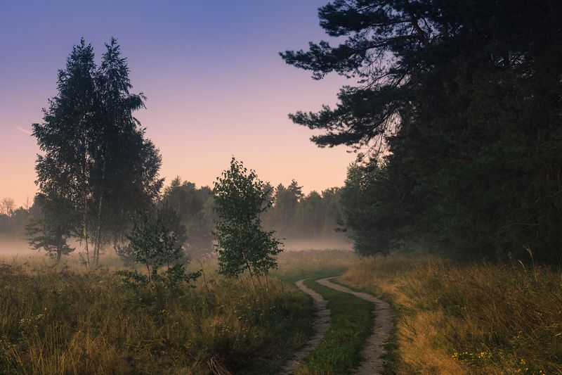 луг, лето, август, рассвет, туман Зябкие ночи, скупые рассветыphoto preview