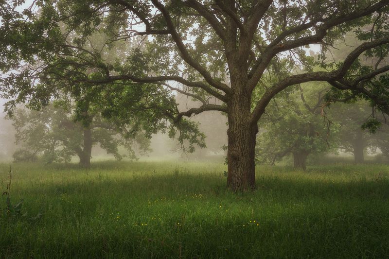 Моменты тишиныphoto preview