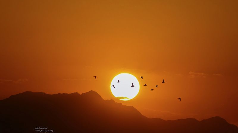 #sunset #sunrise #sun #tflers #pretty #beautiful #red #orange #pink #sky #skyporn #cloudporn #nature #clouds #horizon #photooftheday #instagood #gorgeous #warm #view #night #morning #silhouette #instasky #all_sunsets sunsetphoto preview