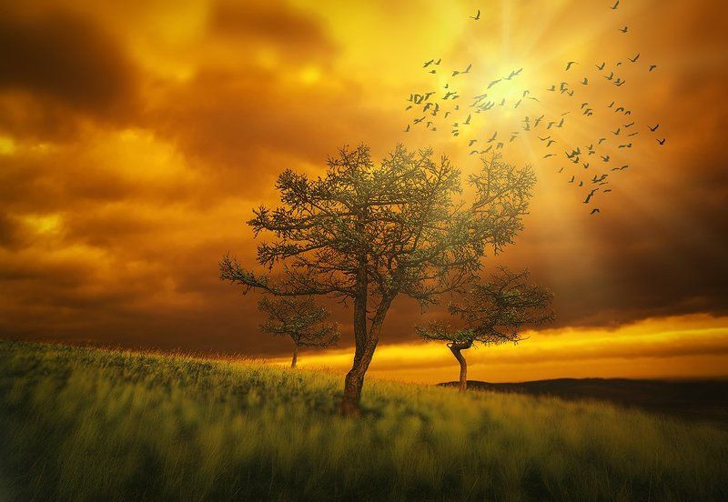 Троица...photo preview