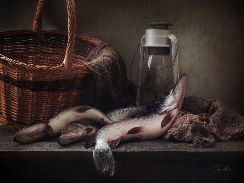 Щукиphoto preview