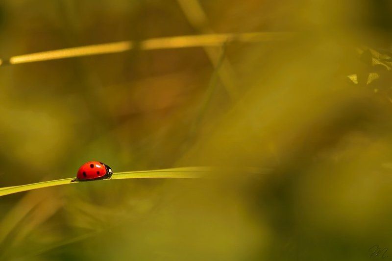 Когда ты должен идти, ты должен идти.photo preview