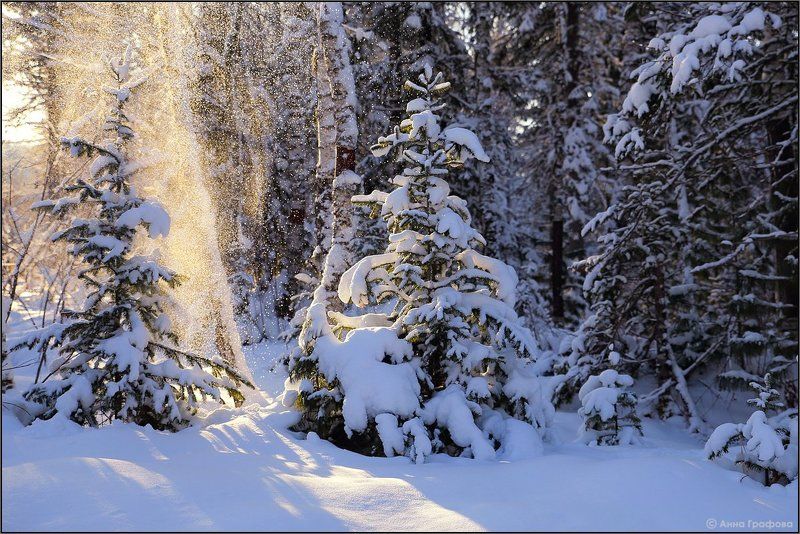 Рождественская сказкаphoto preview