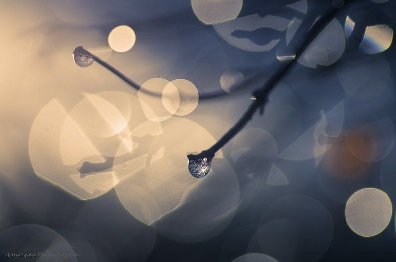 Просто капелькаphoto preview