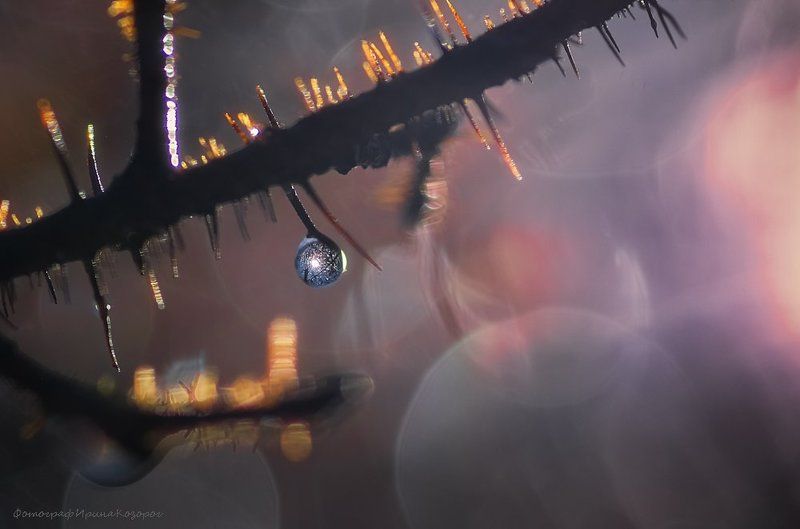 Капляphoto preview