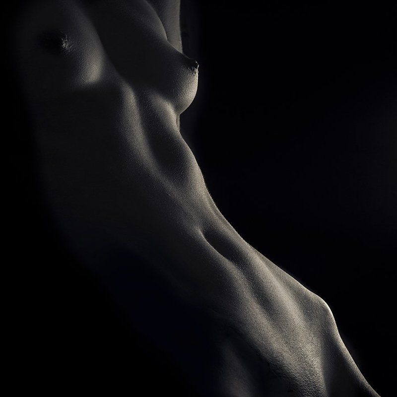 Shadows on Blackphoto preview