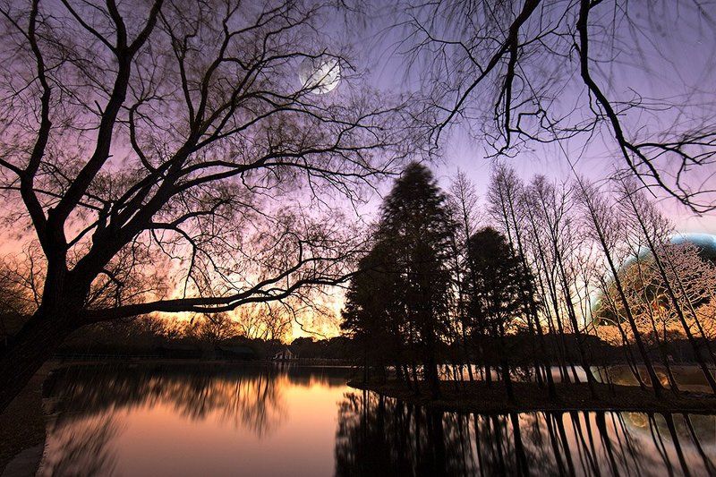 月上柳梢 人约黄昏photo preview