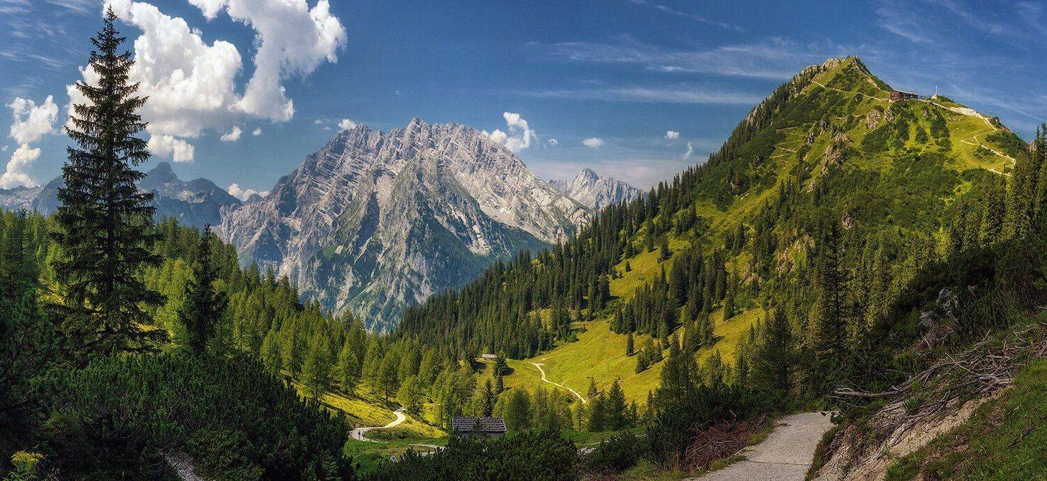 С видом на вершину Йеннера. Автор: Игорь Мелекесцев , Игорь Мелекесцев