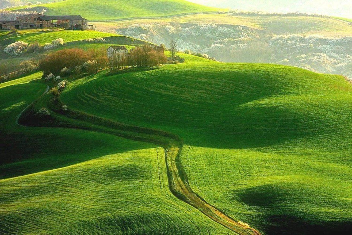 .... Автор: Boguslaw Strempel , Boguslaw Strempel