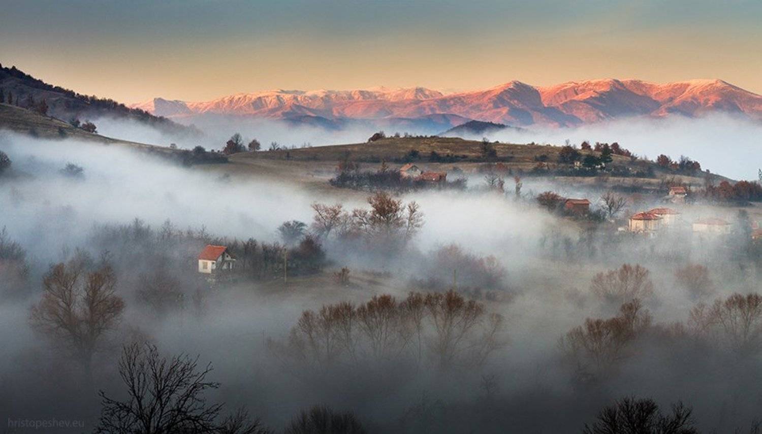 , Христо Пешев