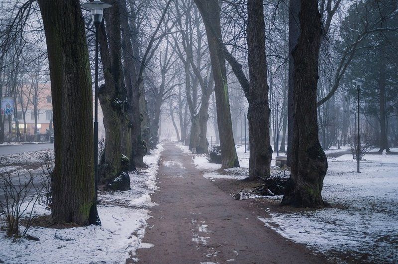 Январские прогулкиphoto preview