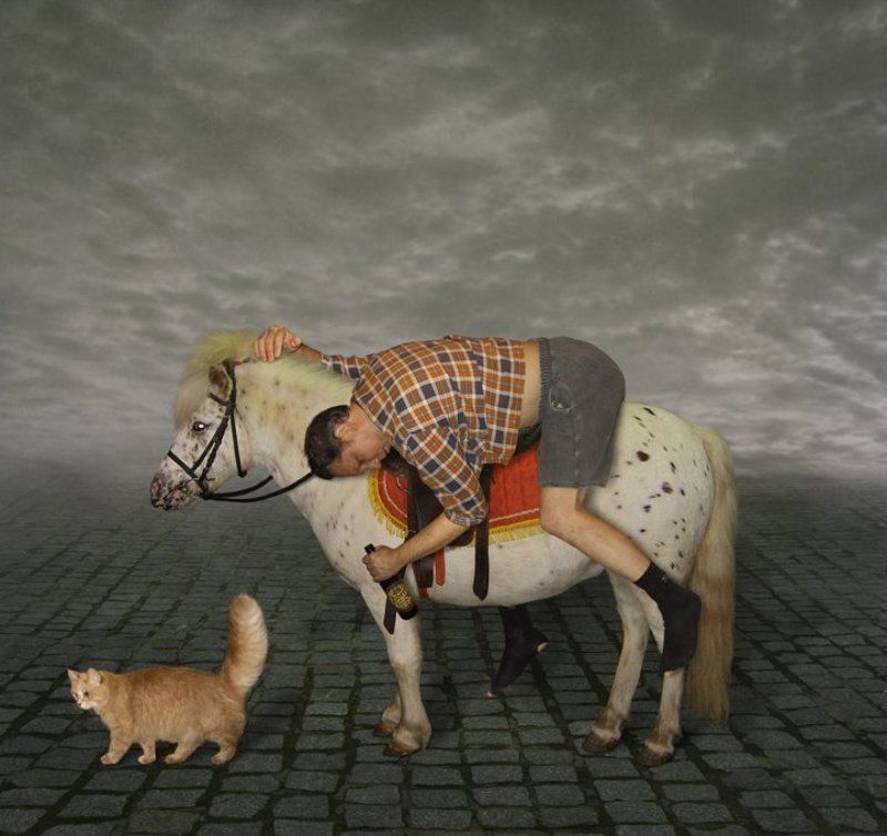 Белый конь, Принц, Юмор Про Принцев и Коней... :)) фото превью