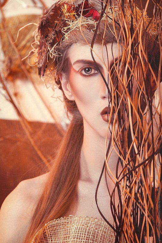 друид...photo preview