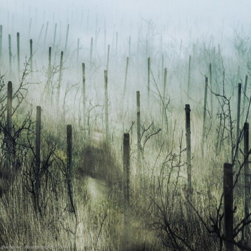 Ghostlines VIIphoto preview