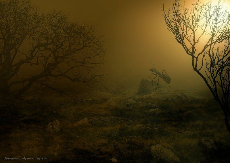 Потерянный мирphoto preview