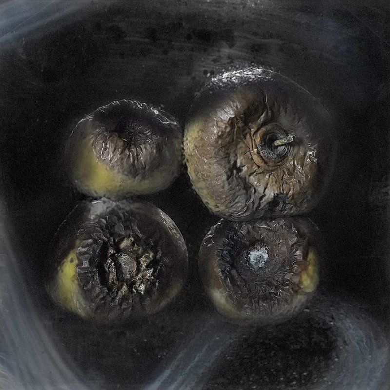 Натюрмортphoto preview