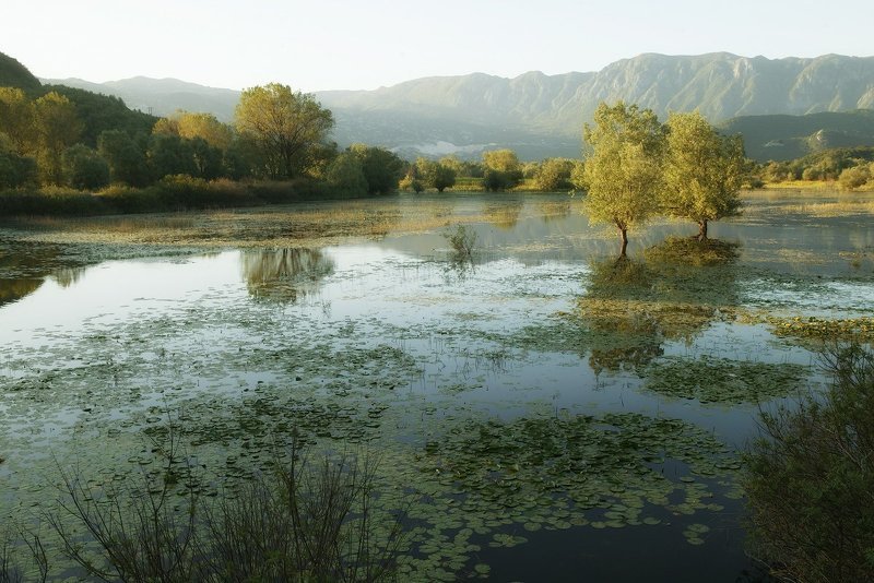 Скадарское озероphoto preview