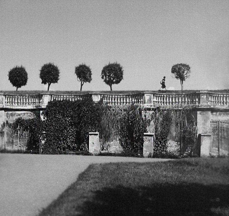 Питерphoto preview