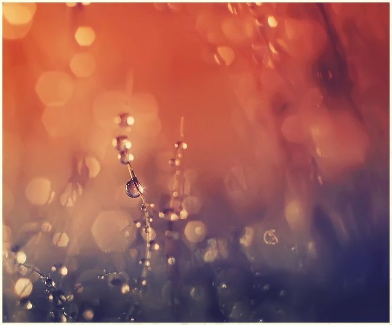 капелькомания. часть 4photo preview