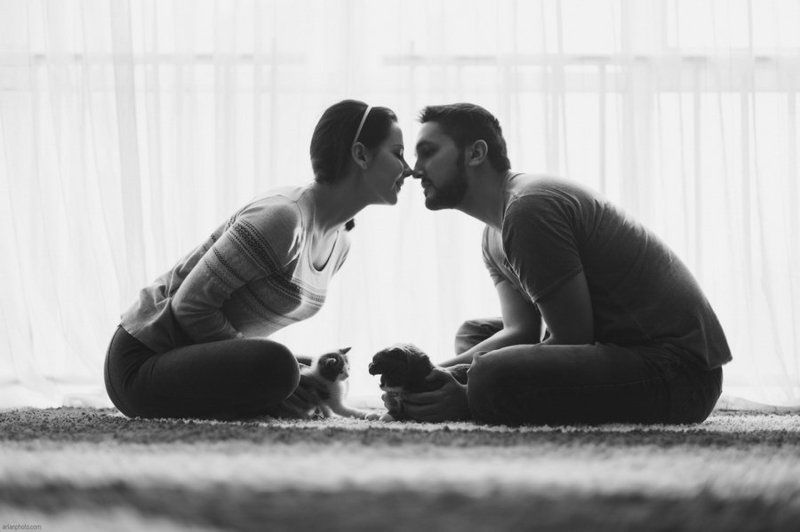 Love story, Кот, Кошка, Окно, Фотограф Арлан Байходжаев Тима и Динаphoto preview