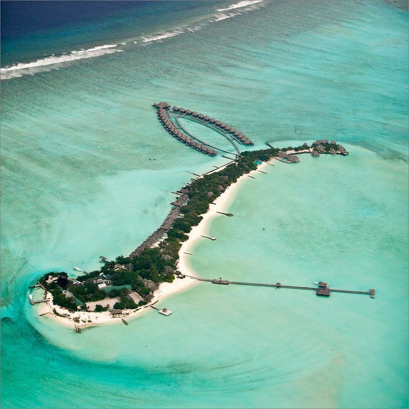 В этой безумной любви мы конечно утопим друг друга ... фото превью