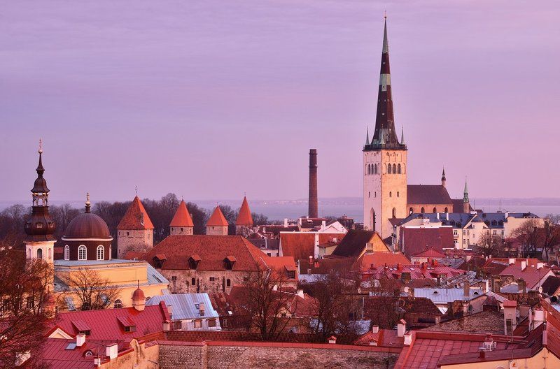 Утро в Таллинеphoto preview