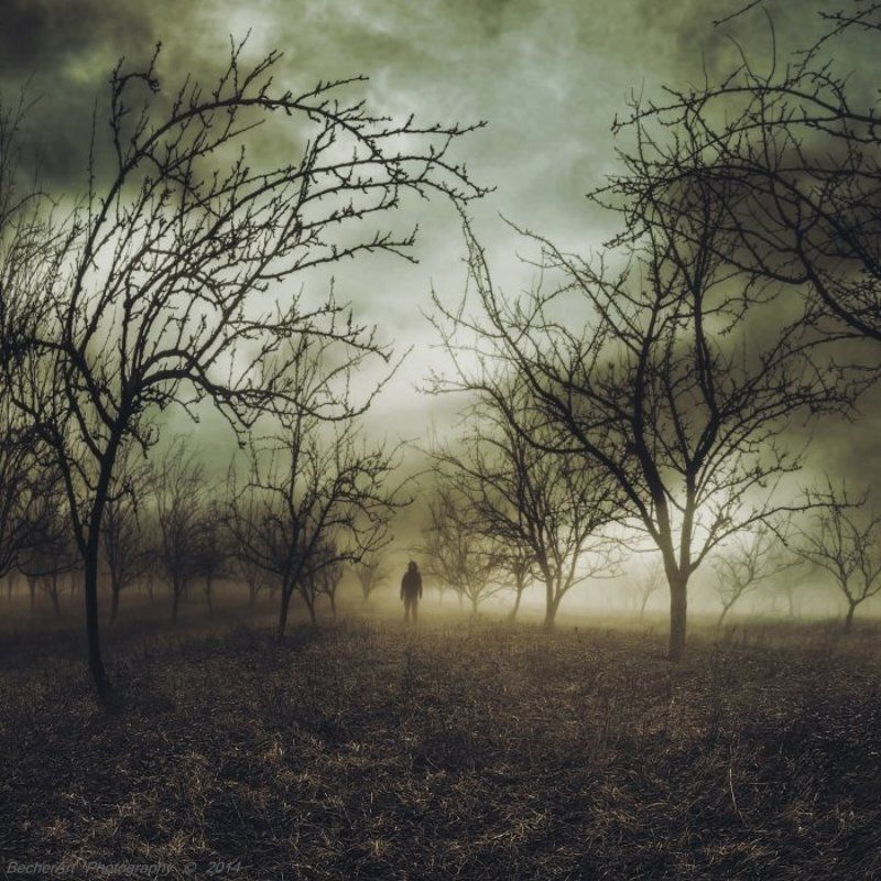 Say Goodbye XVIphoto preview