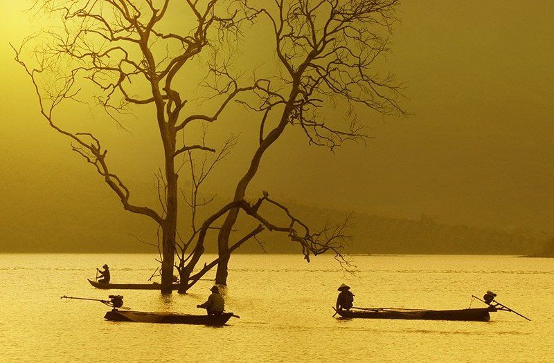 Early morningphoto preview