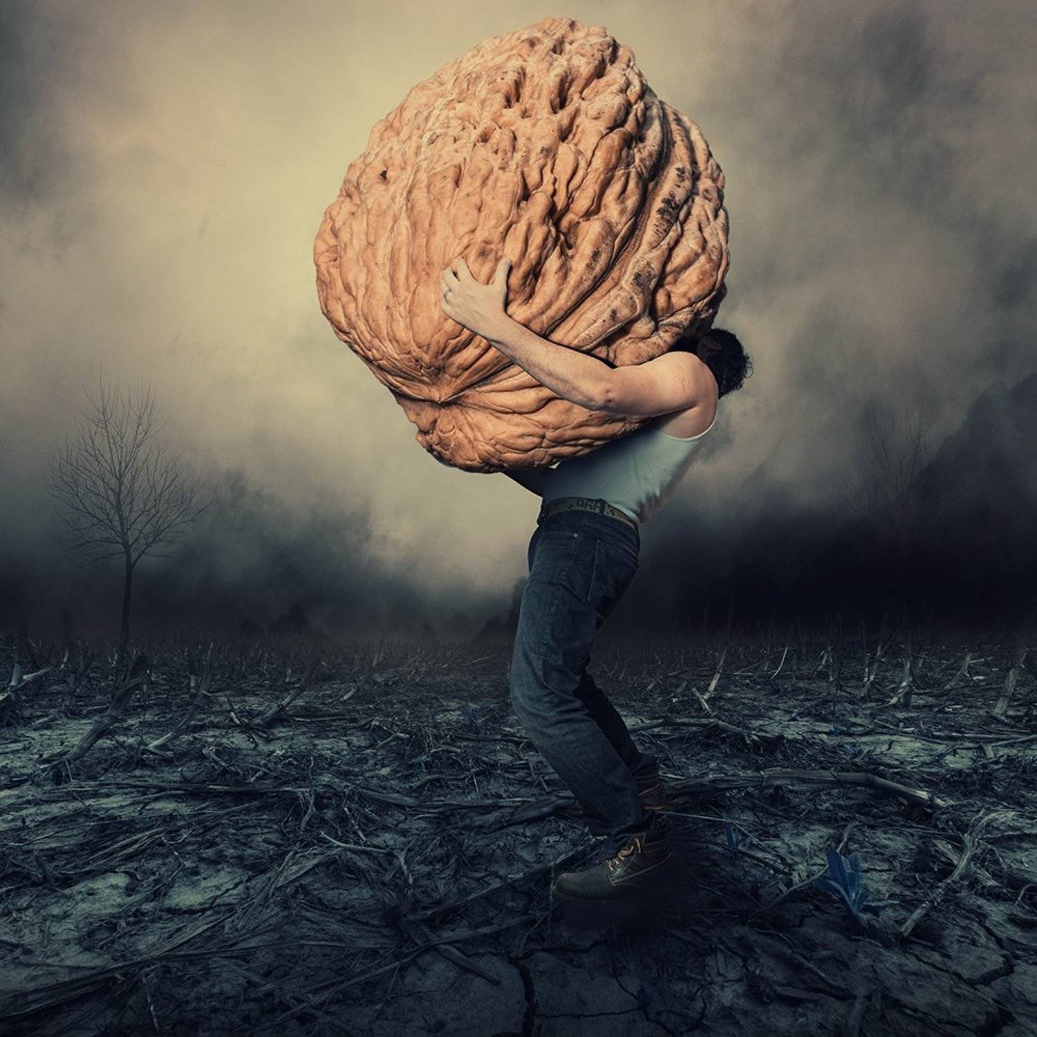 carasdesign, child, clouds, danger, fisherman, fog, girl, ioana, man, manipulation, mist, mounting, mystery, ocean, photographer, ponton, psd, rainbow, risk, romania, skyfall, sleeping, smoke, stone, tripod, tutorial, water, wood, walnut, brain, big, Caras Ionut