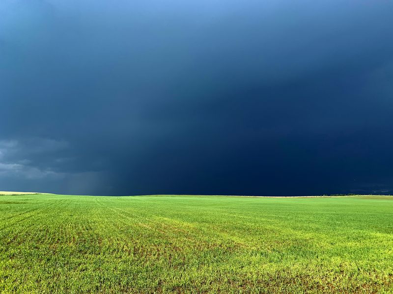 После грозыphoto preview