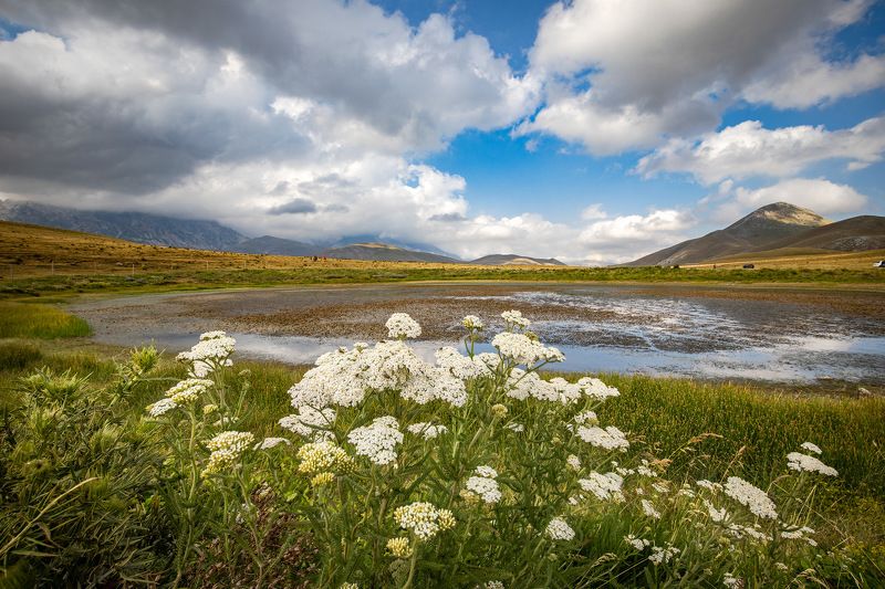 lake, flowers, sky, green, clouds, landscape, italy Landascapesphoto preview