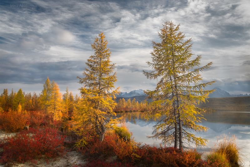 Колыма, Магадан, озеро Джека Лондона, осень Осенние краски Колымыphoto preview