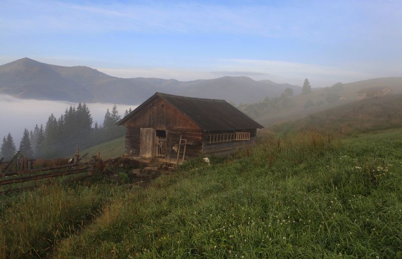 Утро в Карпатахphoto preview