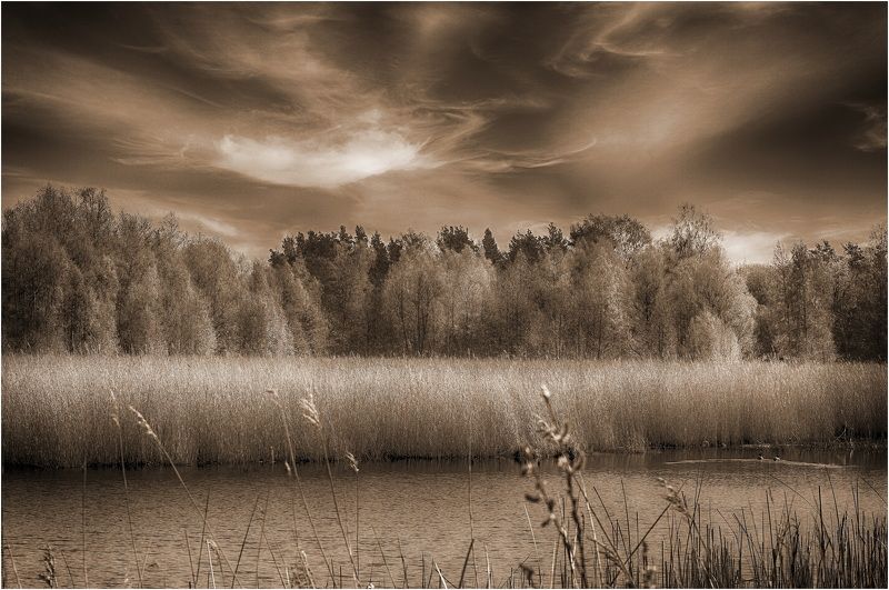 Речушка Ланга.photo preview