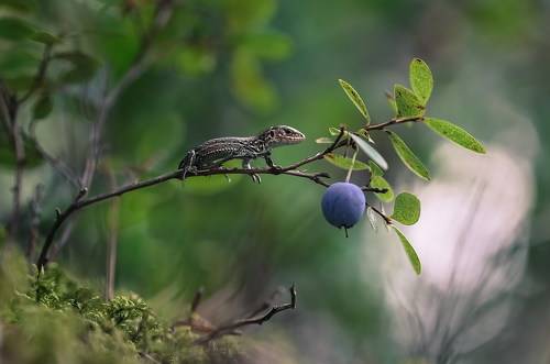 Не все дороги гладкие...