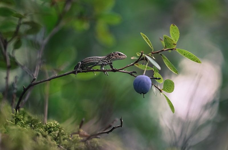 Не все дороги гладкие...photo preview