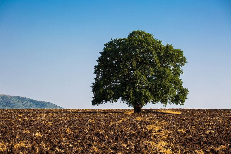 Одиночествоphoto preview